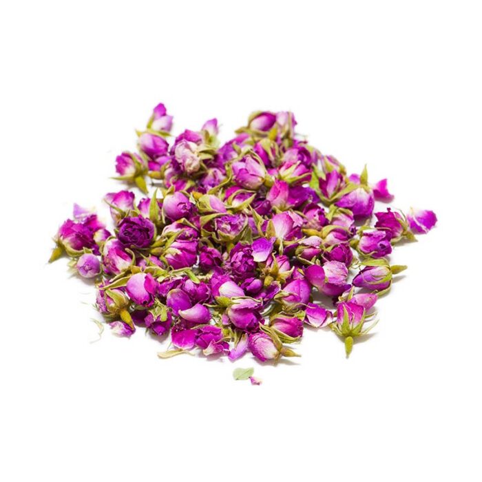 غنچه گل محمدی