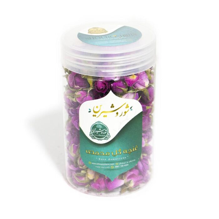 غنچه گل محمدی