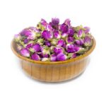 غنچه گل محمدی