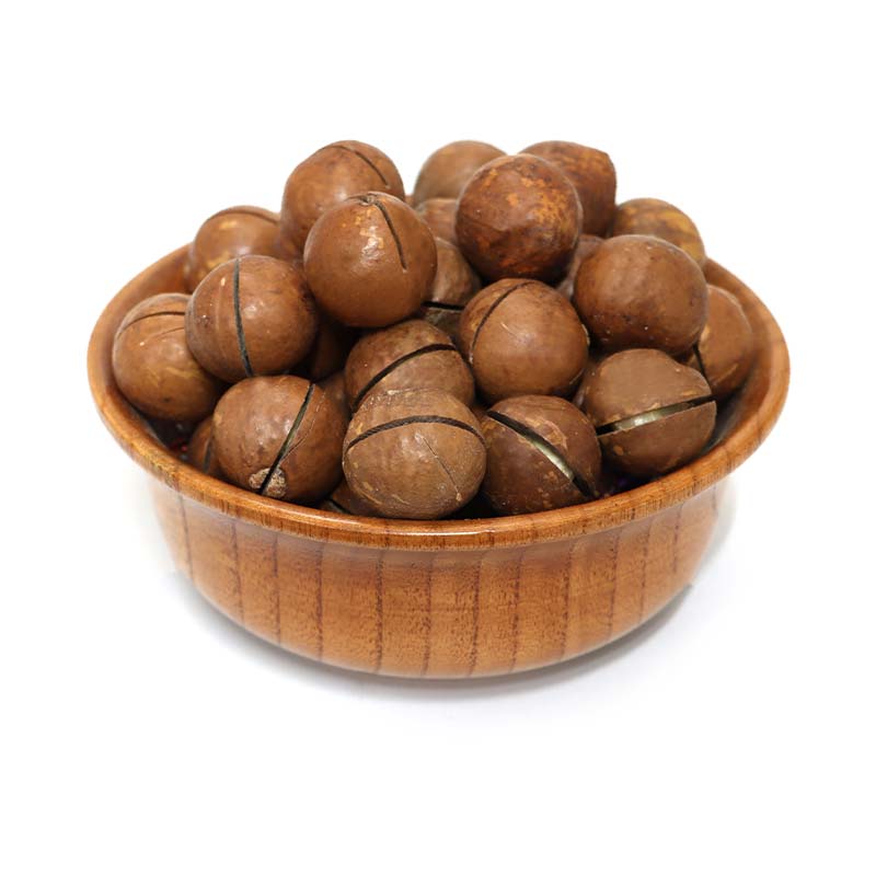 فندق استرالیایی ماکادمیا فندق استرالیایی ماکادمیا