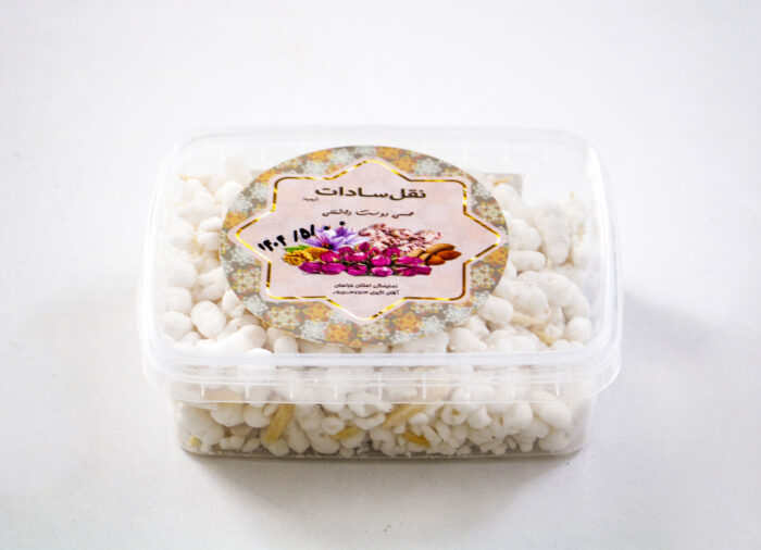 نقل سادات2 scaled