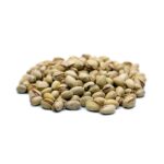 پسته فندقی خام