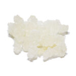 نبات شاخه سفید