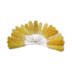 نبات نی دار زعفرانی