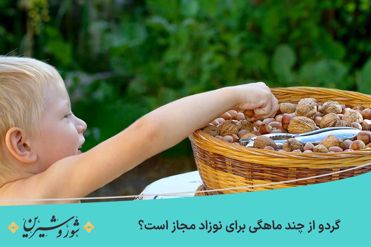 گردو از چند ماهگی برای نوزاد مجاز است؟
