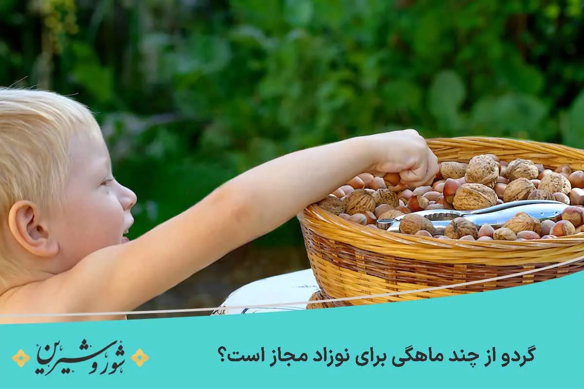گردو از چند ماهگی برای نوزاد مجاز است