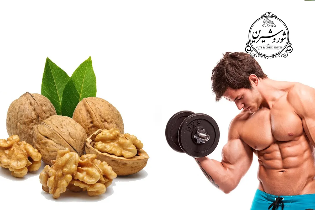 بهترین زمان مصرف گردو در بدنسازی