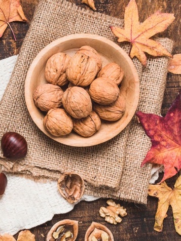 صفحه اصلی 17 b1